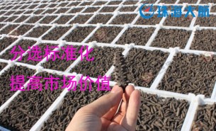 大家都用重量分揀機(jī)分選海參了！您還在用人工分選嗎？