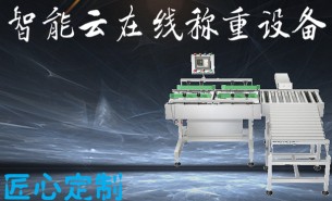 五金件自動(dòng)稱重秤哪家好？