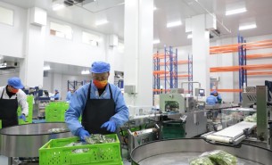 蔬菜配重機(jī)：解決人工成本與效率問題，助力蔬菜加工發(fā)展
