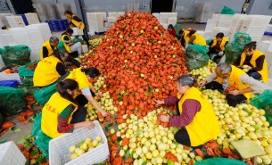 自動化分揀稱重設備：助力生鮮、凍貨及食品加工行業(yè)突破瓶頸